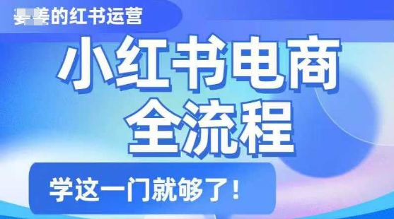 小红书电商全流程，精简易懂，从入门到精通，学这一门就够了-整合资源网