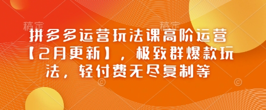 拼多多运营玩法课高阶运营【2月更新】，极致群爆款玩法，轻付费无尽复制等-整合资源网