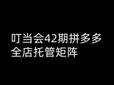 叮当会拼多多打爆班原创高阶技术第42期，拼多多全店托管矩阵-秀人资源网