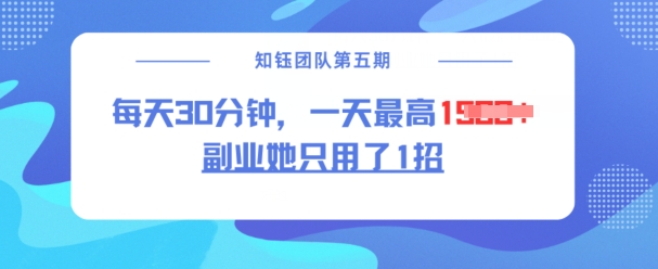 副业她只用了1招，每天30分钟，无脑二创，一天最高1.5k-秀人资源网