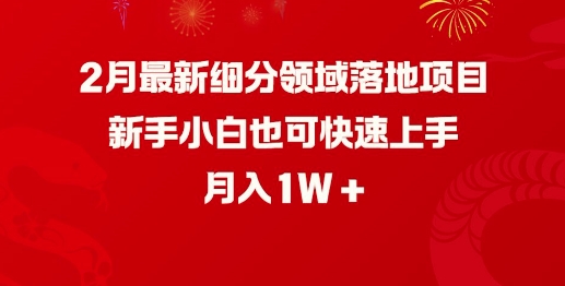 2月最新细分领域落地项目，新手小白也可快速上手，月入1W-秀人资源网