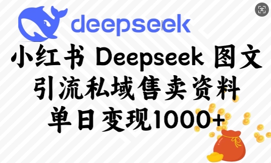 小红书Deepseek图文引流私域售卖资料，单日变现多张-秀人资源网