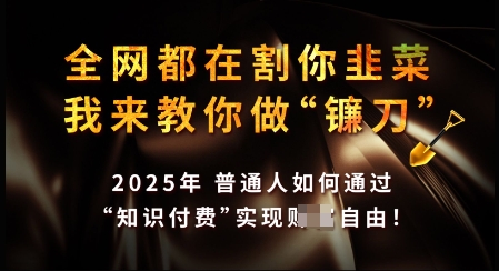知识付费如何做到月入过W+，2025我来教你做“镰刀”【揭秘】-秀人资源网