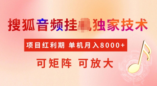 首发搜狐音频挂JI，项目红利期，可矩阵可放大，稳定月入5k【揭秘】-整合资源网