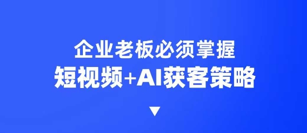 企业短视频AI获客霸屏流量课，6步短视频+AI突围法，3大霸屏抢客策略-整合资源网