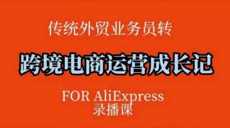 跨境电商速卖通运营课，​运营方法论+后台实操，逻辑清晰-秀人资源网