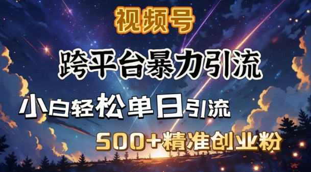 跨平台暴力引流，私域完美闭环，日引500+精准创业粉-整合资源网
