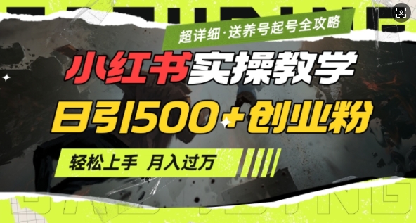 2月小红书最新日引500+创业粉实操教学【超详细】小白轻松上手，月入1W+，附小红书养号起号SOP-秀人资源网