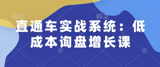 直通车实战系统：低成本询盘增长课，让个人通过技能实现升职加薪，让企业低成本获客，订单源源不断-整合资源网