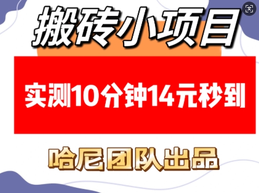 搬砖小项目，实测10分钟14元秒到，每天稳定几张(赠送必看稳定)-秀人资源网