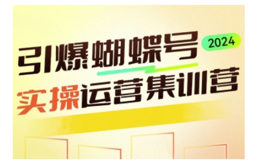 引爆蝴蝶号实操运营，助力你深度掌握蝴蝶号运营，实现高效实操，开启流量变现之路-整合资源网