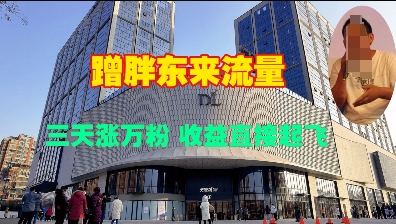 蹭胖东来流量，三天涨万粉，收益直接起飞-秀人资源网