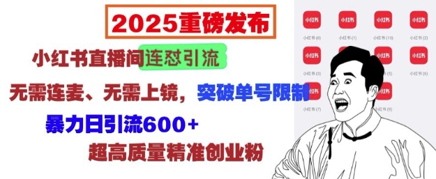 2025重磅发布：小红书直播间连怼引流，无需连麦、无需上镜，突破单号限制，暴力日引流600+-整合资源网