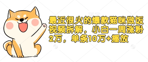 最近很火的爆款猫咪做饭视频拆解，小白一周涨粉2万，单条10万+播放(附保姆级教程)-秀人资源网