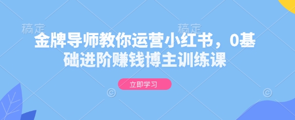 金牌导师教你运营小红书，0基础进阶赚钱博主训练课-秀人资源网