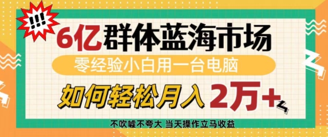 6亿群体蓝海市场，零经验小白用一台电脑，如何轻松月入过w【揭秘】-整合资源网