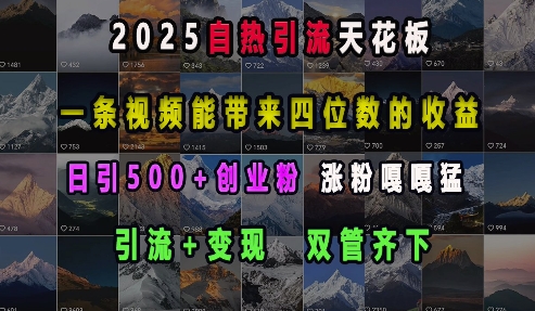 2025自热引流天花板，一条视频能带来四位数的收益，引流+变现双管齐下，日引500+创业粉，涨粉嘎嘎猛-秀人资源网
