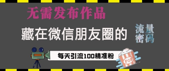藏在微信朋友圈的流量密码，无需发布作品，单日引流100+精准创业粉【揭秘】-秀人资源网