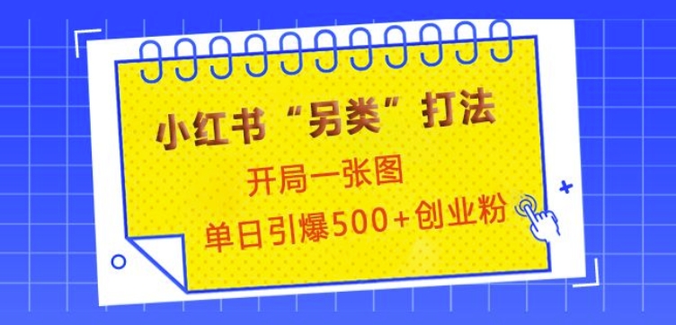 小红书“另类”打法，开局一张图，单日引爆500+精准创业粉【揭秘】-秀人资源网