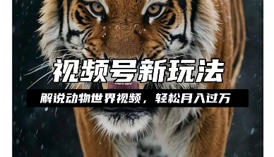 利用动物世界解说视频，赚分成计划收益，轻松月入过W，操作简单【揭秘】-秀人资源网