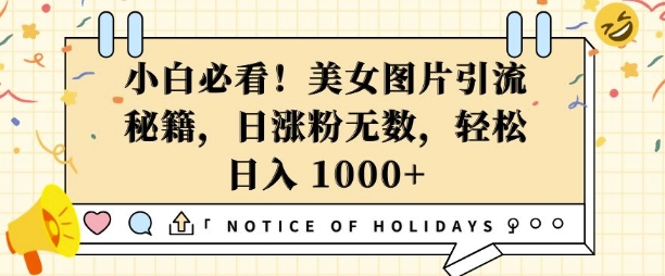 小白必看，美女图片引流秘籍，日涨粉无数，轻松日入几张【揭秘】-整合资源网