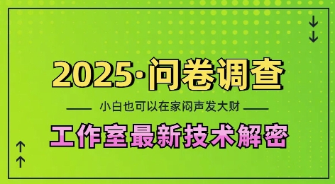 2025问卷调查最新工作室技术解密：一个人在家也可以闷声发大财，小白一天2张，可矩阵放大【揭秘】-整合资源网