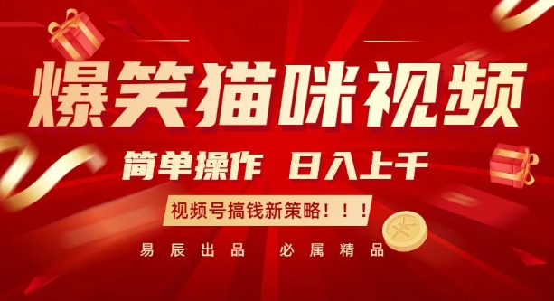 爆笑猫咪视频：简单操作，日入过K，视频号搞钱新策略【揭秘】-整合资源网