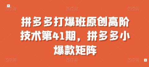 拼多多打爆班原创高阶技术第41期，拼多多小爆款矩阵-秀人资源网