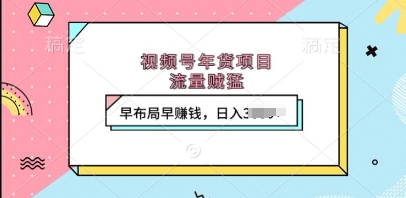 视频号年货项目，流量贼猛，早布局早挣钱，日入上k【揭秘】-秀人资源网