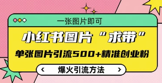 小红书图片‘求带’爆火引流法，单张图片引流500+精准创业粉【揭秘】-整合资源网