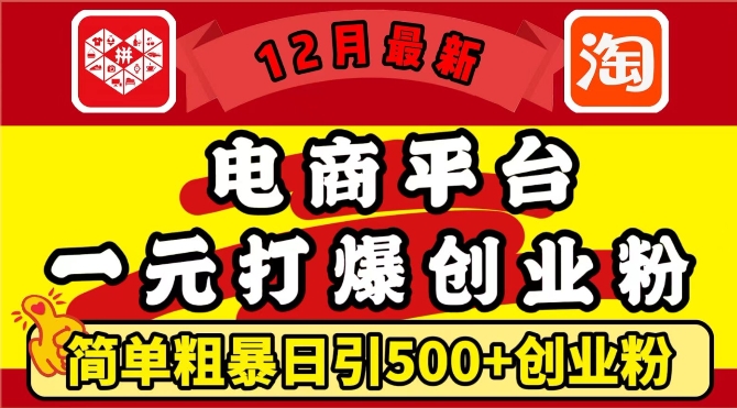 12月最新：电商平台1元打爆创业粉，简单粗暴日引500+精准创业粉，轻松月入过W【揭秘】-秀人资源网