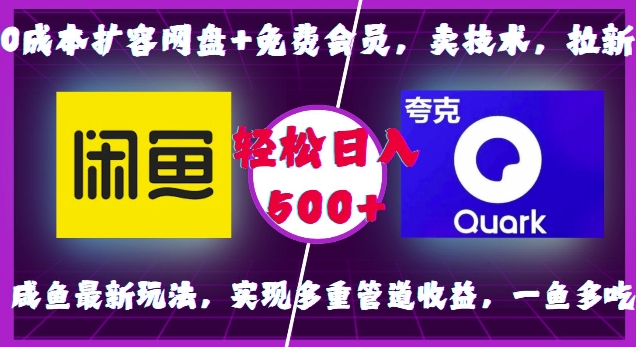 0成本扩容网盘+免费会员，卖技术，拉新，咸鱼最新玩法，实现多重管道收益，一鱼多吃，轻松日入500+-整合资源网