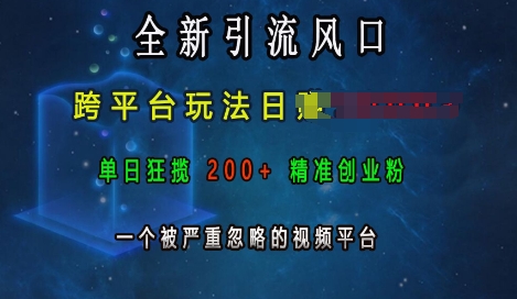 全新引流风口，跨平台玩法日入上k，单日狂揽200+精准创业粉，一个被严重忽略的视频平台-秀人资源网