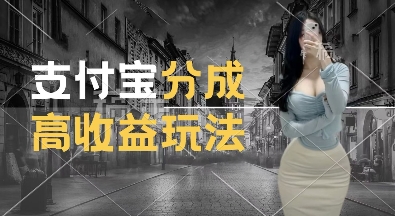 支付宝分成计划新玩法，利用交通事故视频，赚收益，轻松月入过W，操作简单【揭秘】-整合资源网