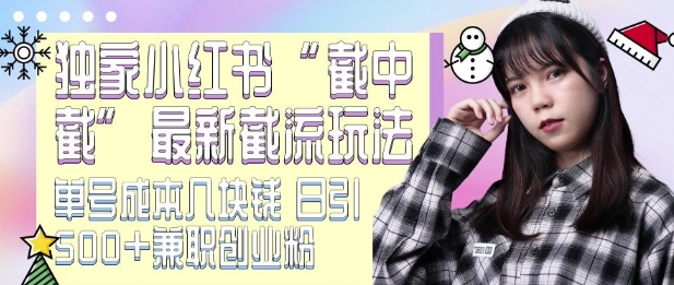 最新小红书截流玩法 独家截中截 单号成本几块钱 日引500+CY粉JZ粉-秀人资源网