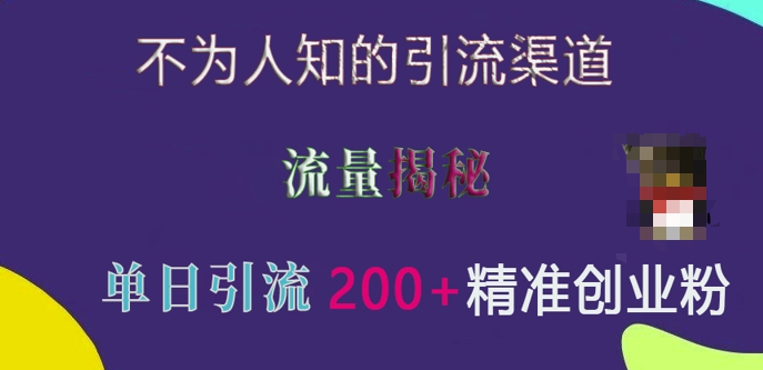 不为人知的引流渠道，流量揭秘，实测单日引流200+精准创业粉【揭秘】-秀人资源网
