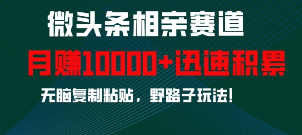 微头条相亲赛道，迅速积累，无脑复制粘贴，野路子玩法，月入1w-秀人资源网