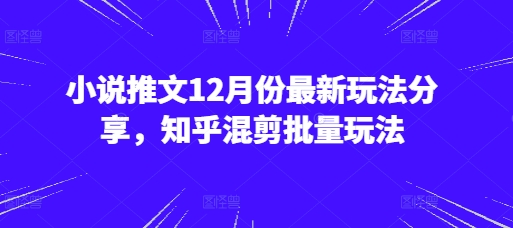小说推文12月份最新玩法分享，知乎混剪批量玩法-秀人资源网