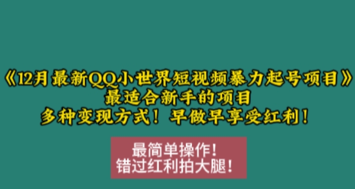 12月最新QQ小世界短视频暴力起号项目，最适合新手的项目，多种变现方式-秀人资源网