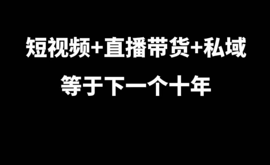 短视频+直播带货+私域等于下一个十年，大佬7年实战经验总结-整合资源网