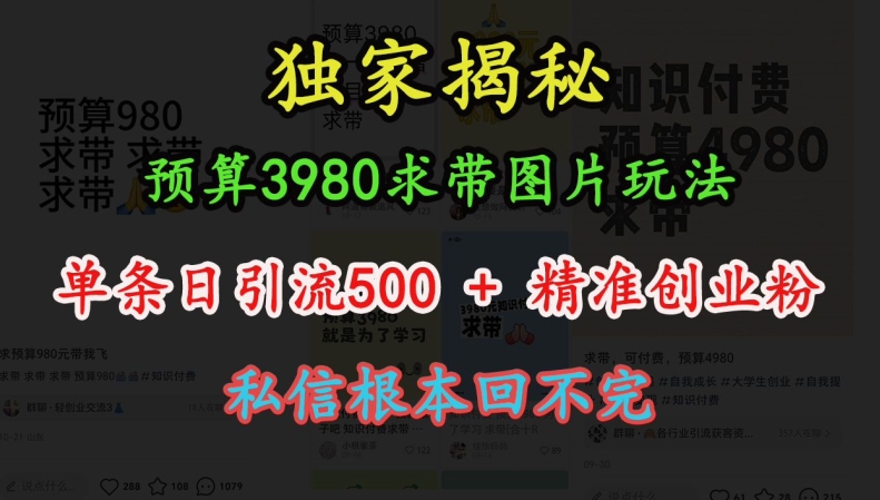 预算3980求带 图片玩法，单条日引流500+精准创业粉，私信根本回不完-秀人资源网