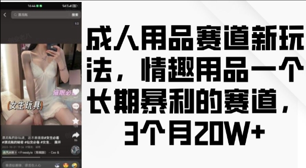 成人用品赛道新玩法，情趣用品一个长期暴利的赛道，3个月收益20个【揭秘】-整合资源网