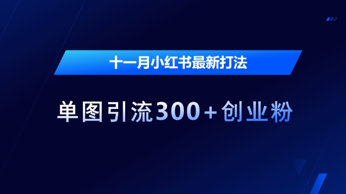 十一月小红书最新打法，单图引流300+创业粉【揭秘】-整合资源网