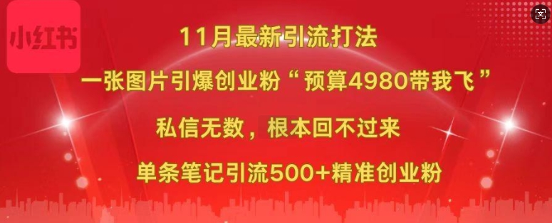 小红书11月最新图片打粉，一张图片引爆创业粉，“预算4980带我飞”，单条引流500+精准创业粉-秀人资源网