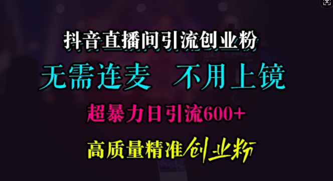 抖音直播间引流创业粉，无需连麦、无需上镜，超暴力日引流600+高质量精准创业粉【揭秘】-秀人资源网