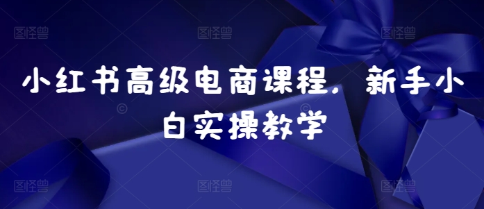 小红书高级电商课程，新手小白实操教学-整合资源网