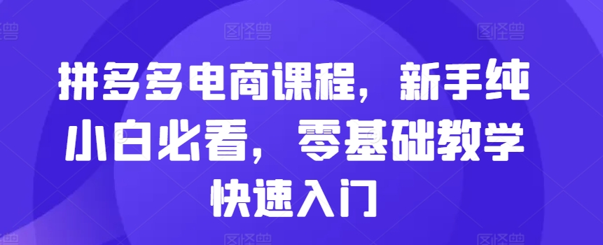 拼多多电商课程，新手纯小白必看，零基础教学快速入门-整合资源网
