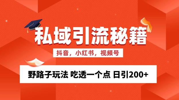 私域流量的精准化获客方法 野路子玩法 吃透一个点 日引200+ 【揭秘】-整合资源网
