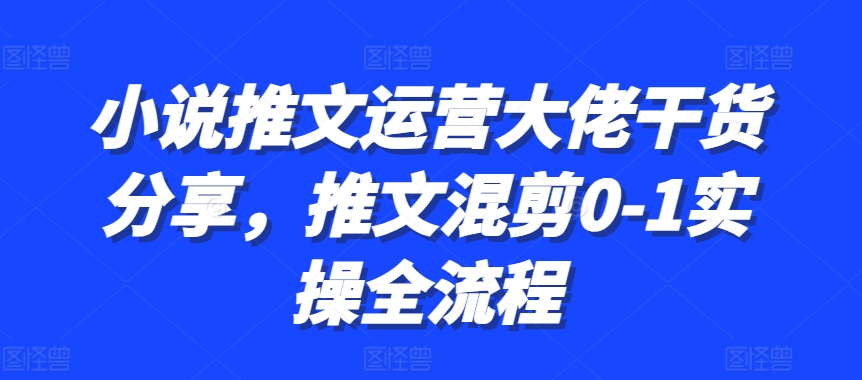 小说推文运营大佬干货分享，推文混剪0-1实操全流程-秀人资源网
