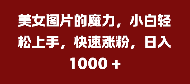 美女图片的魔力，小白轻松上手，快速涨粉，日入几张【揭秘】-秀人资源网